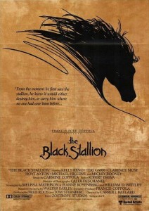 arabian horse the black stallion
