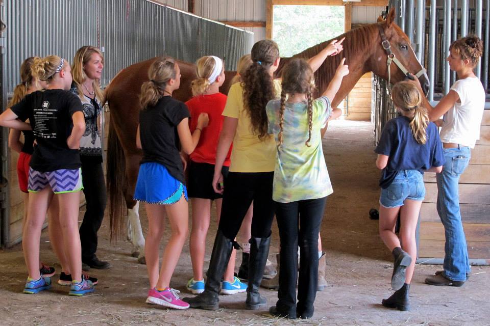 benefits of equestrian education