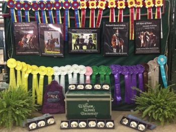 Interested in judging equestrian shows
