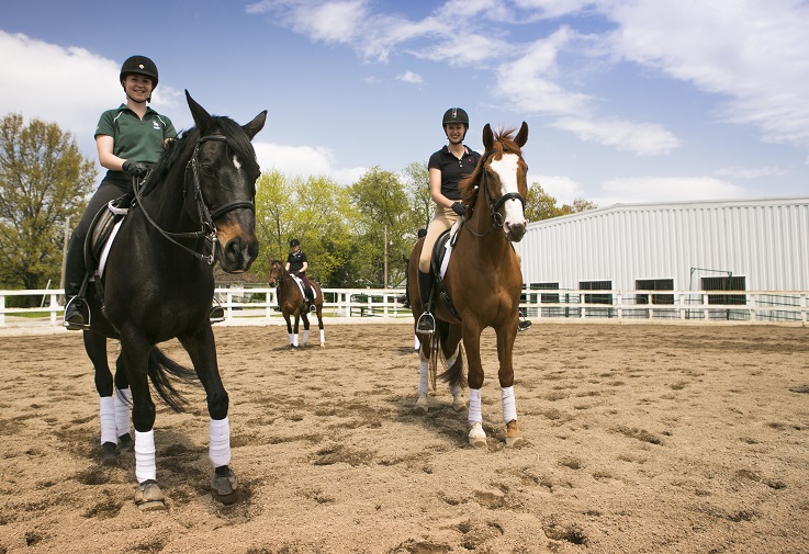 Bachelors in equestrian students participate in April events 