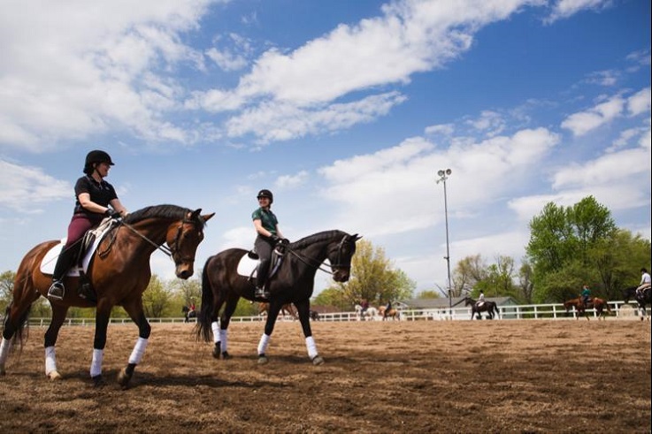 William Woods equestrian students make the most out of clinics.