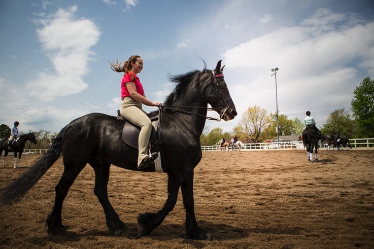 Bachelors in equestrian studies students practice saddle seat.