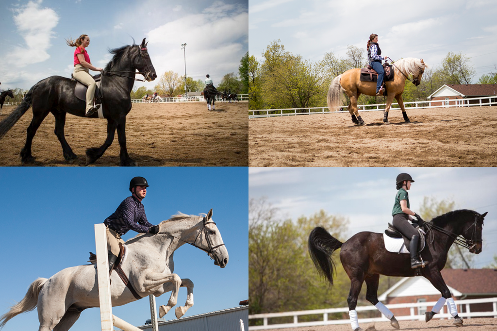 four equestrian seats specialization