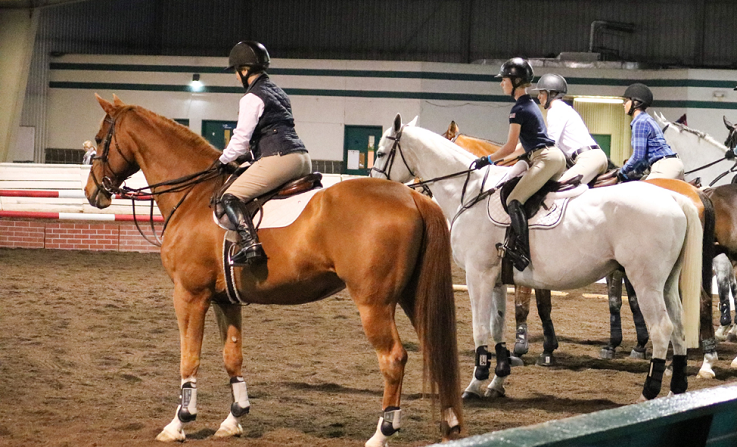 3 tips for your next equestrian clinic