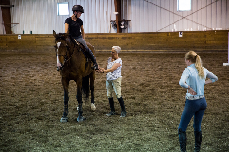 3 tips for your next equestrian clinic